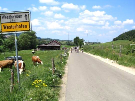 Bild 7 von 28  -  45 kB