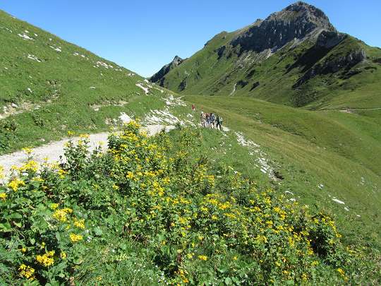 Bild 1 von 27  -  44 kB